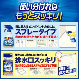 強力 カビハイター 排水口スッキリ 粉末発泡タイプ 楽天西友ネットスーパー 強力 カビハイター 排水口スッキリ 粉末発泡タイプ 楽天西友ネットスーパー